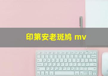 印第安老斑鸠 mv